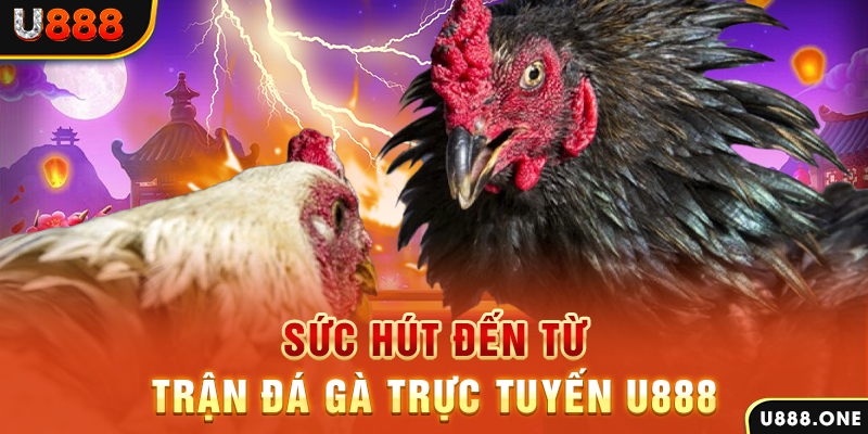 vietjack 6 đá gà trực tiếp c1