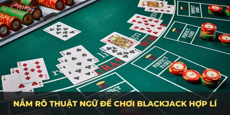 vietjack 6 c1 gà chọi