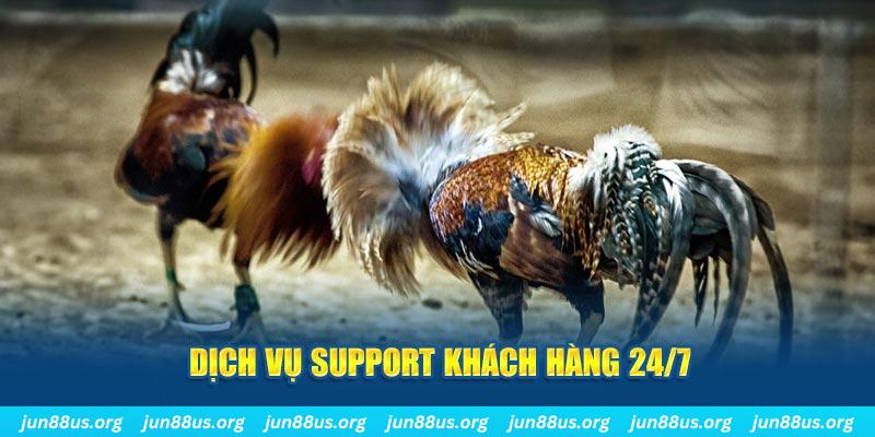 vietjack 6 ÁT CHỦ BÀI GIÀNH LẤY ZHUANG NIUNIU ( XEM 4 LÁ )