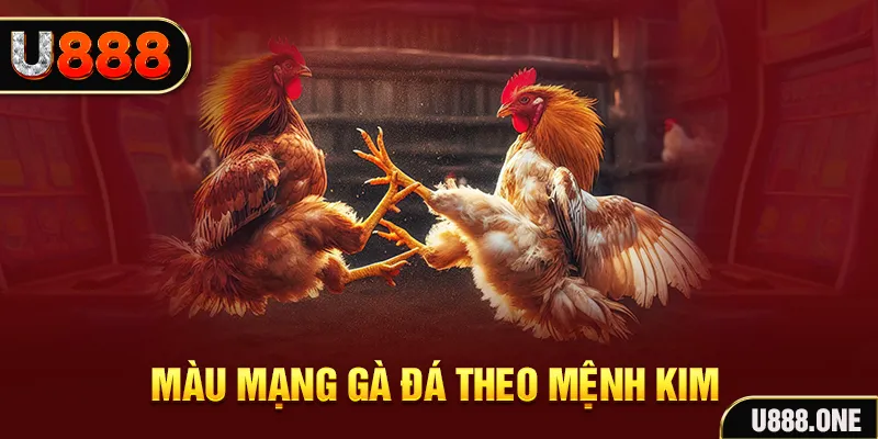 vietjack 6 Cỡ bảy