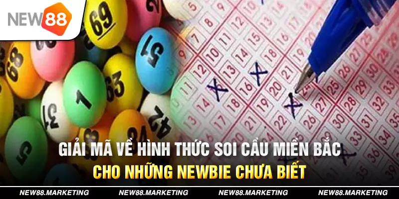 vietjack 6 xổ số tây ninh