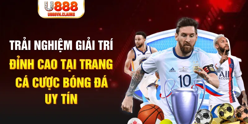 vietjack 6 gà chọi hoà phong