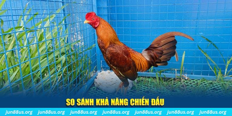 vietjack 6 CQ9 Điện Tử
