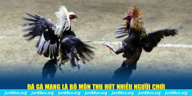 vietjack 6 bắn cá au88