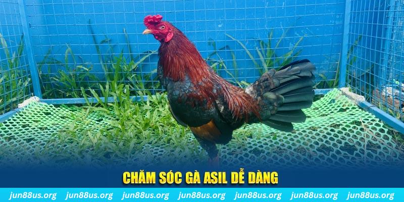 vietjack 6 game bài là gì