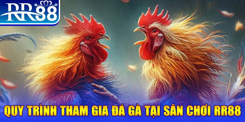 vietjack 6 đá gà cam 67