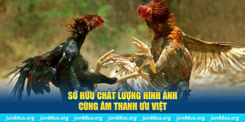 vietjack 6 PP Điện Tử