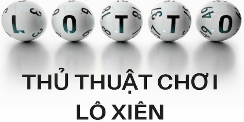 vietjack 6 trực tiếp đá gà thomo