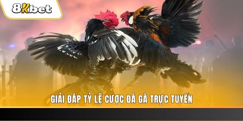 vietjack 6 xổ số đài miền trung