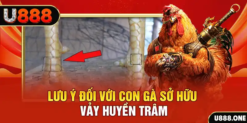vietjack 6 kết quả xổ số miền nam hôm nay