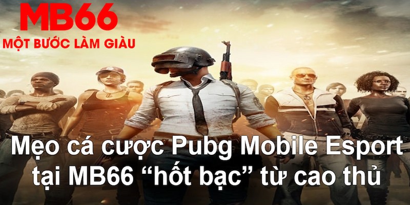 vietjack 6 VA Bắn cá