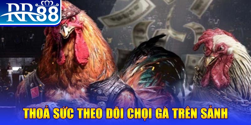 vietjack 6 trực tiếp đá gà c1