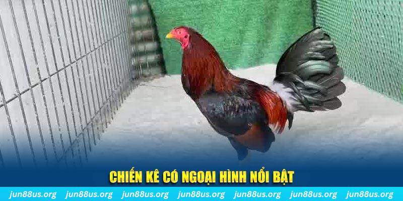 vietjack 6 game nổ hũ là gì