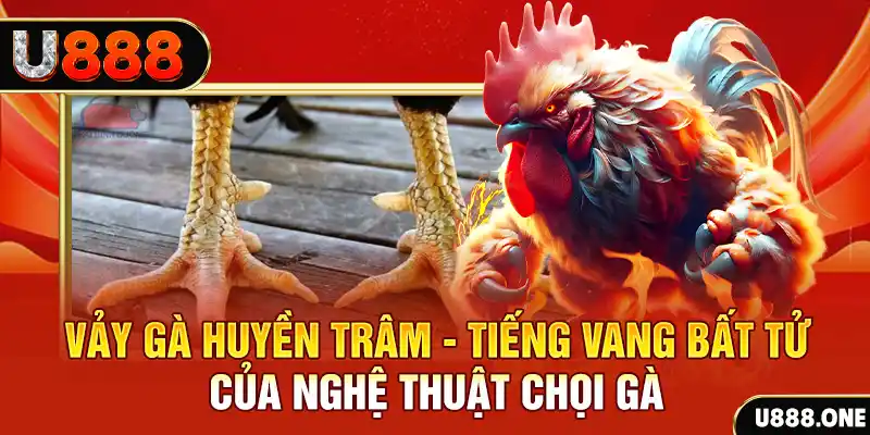 vietjack 6 xổ số miền bắc ngày hôm nay